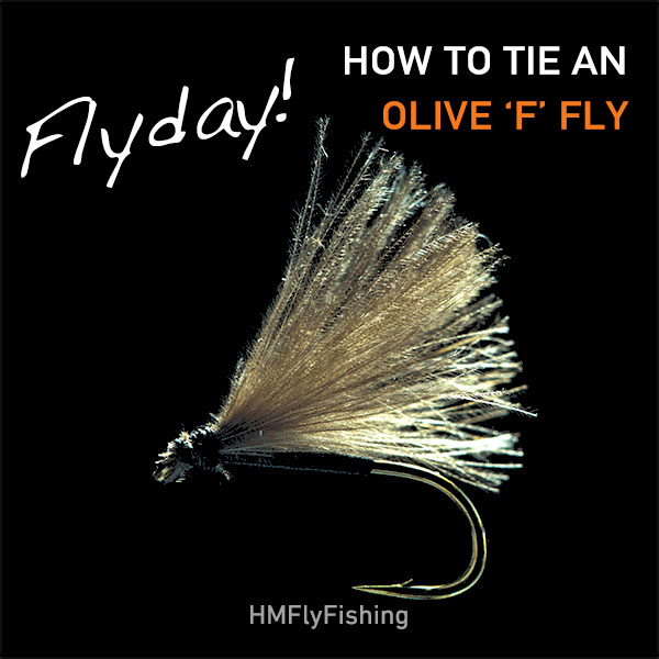 Olive F Fly Pattern Photo