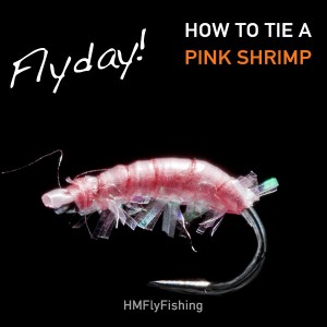 pink shrimp fly pattern