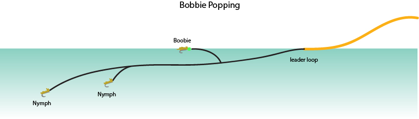 Boobie popping illustration