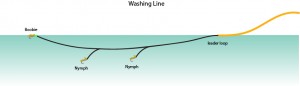 Washing Line illustration