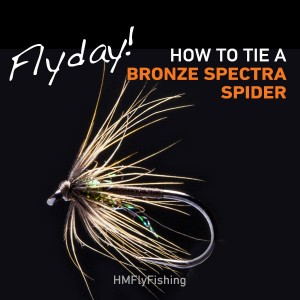 bronze spectra spider Fly pattern Photo